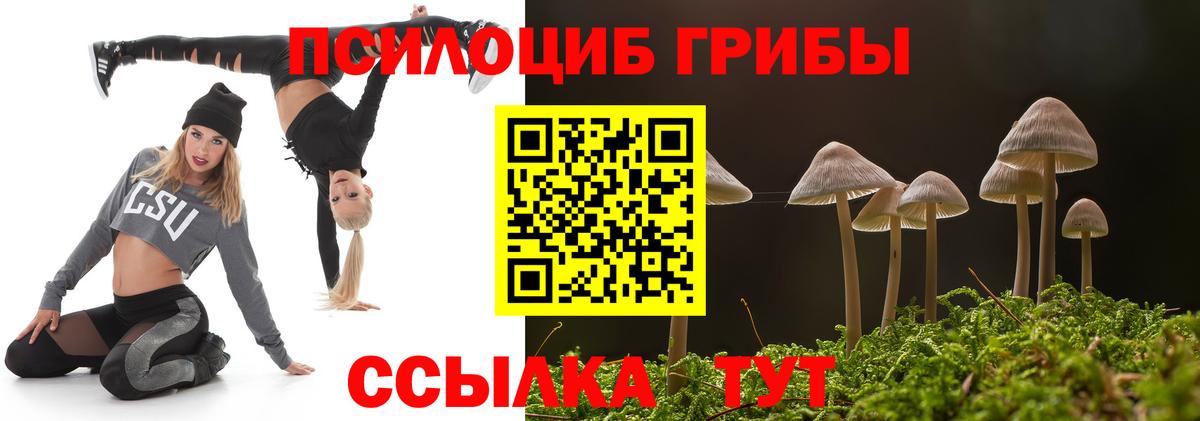 Зеленокумск  Галлюциногенные грибы прущие грибы  Вход с VPN 